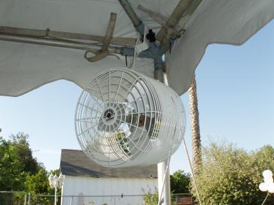 Rental store for FAN TENT VERSA COOLER in Terrell TX